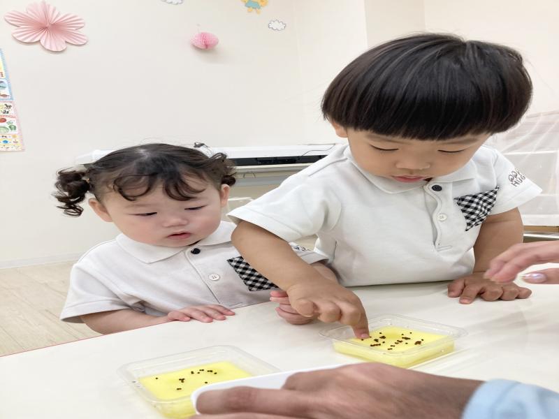 ブロッコリースプラウトの種まきをしました！《大阪市西区,新町にある幼児教育一体型保育園HUGアカデミー、一時預かり、一時保育》