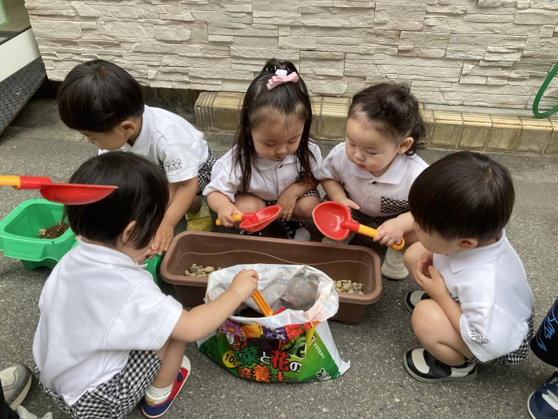 あさがおの種まきをしました！《大阪市西区、新町にある幼児教室一体型保育園》