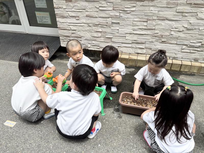 探求学習！《大阪市西区,新町にある幼児教育一体型保育園HUGアカデミー、一時預かり、一時保育》