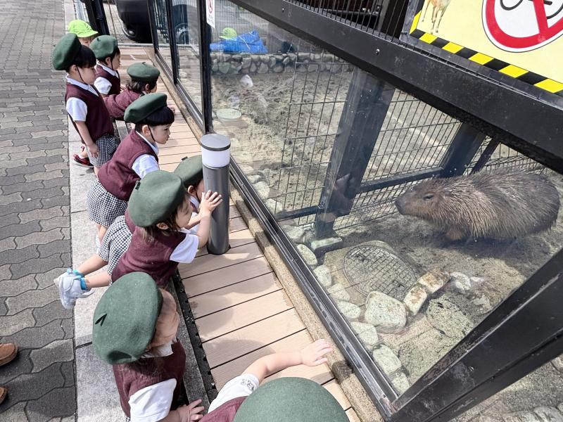 戸外活動！《大阪市西区,新町にある幼児教育一体型保育園HUGアカデミー、一時預かり、一時保育》