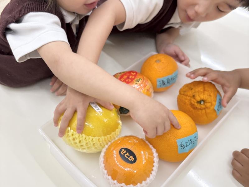 感覚学習！＜大阪市西区新町にある幼児教育一体型保育園HUGアカデミー、一時預かり、一時保育〉