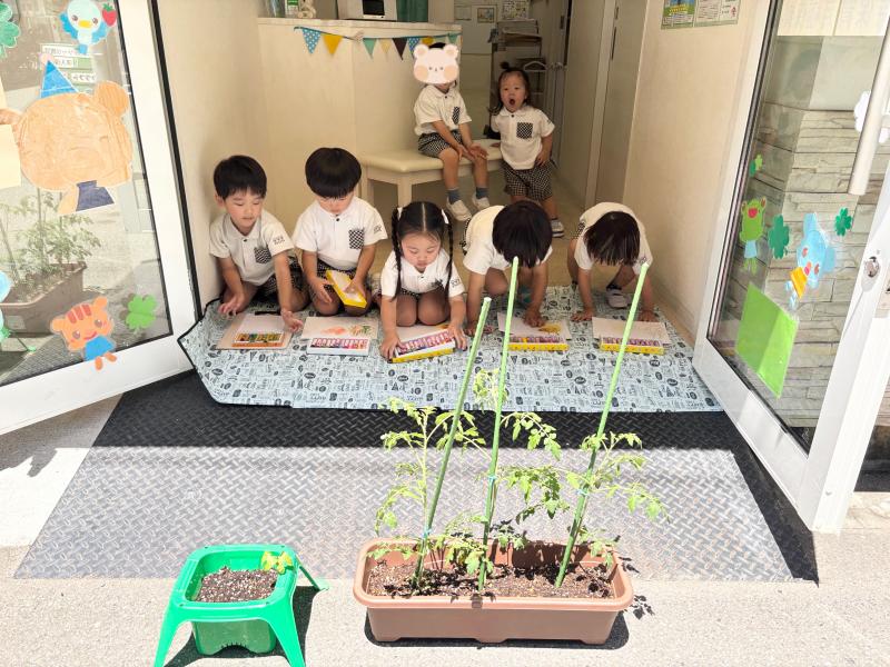 基礎課外学習！《大阪市西区,新町にある幼児教育一体型保育園HUGアカデミー、一時預かり、一時保育》