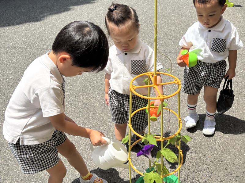 観察日記！《大阪市西区,新町にある幼児教育一体型保育園HUGアカデミー、一時預かり、一時保育》