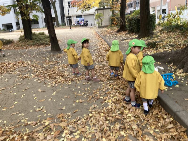 どんぐりみーつけた！《大阪市西区,新町にある幼児教育一体型保育園HUGアカデミー、一時預かり、一時保育》らいか先生が