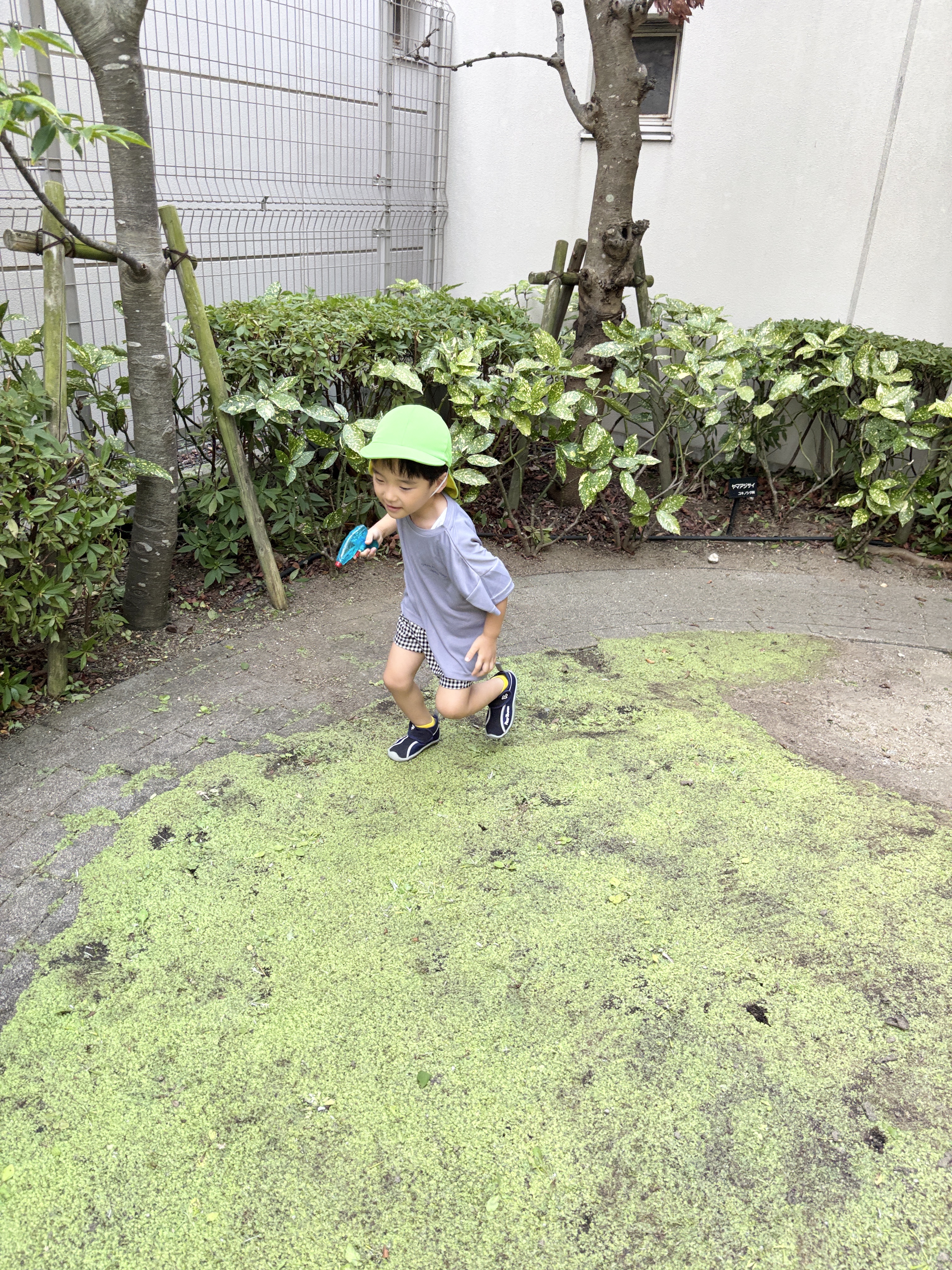 IMG_0443.jpeg (6.67 MB)