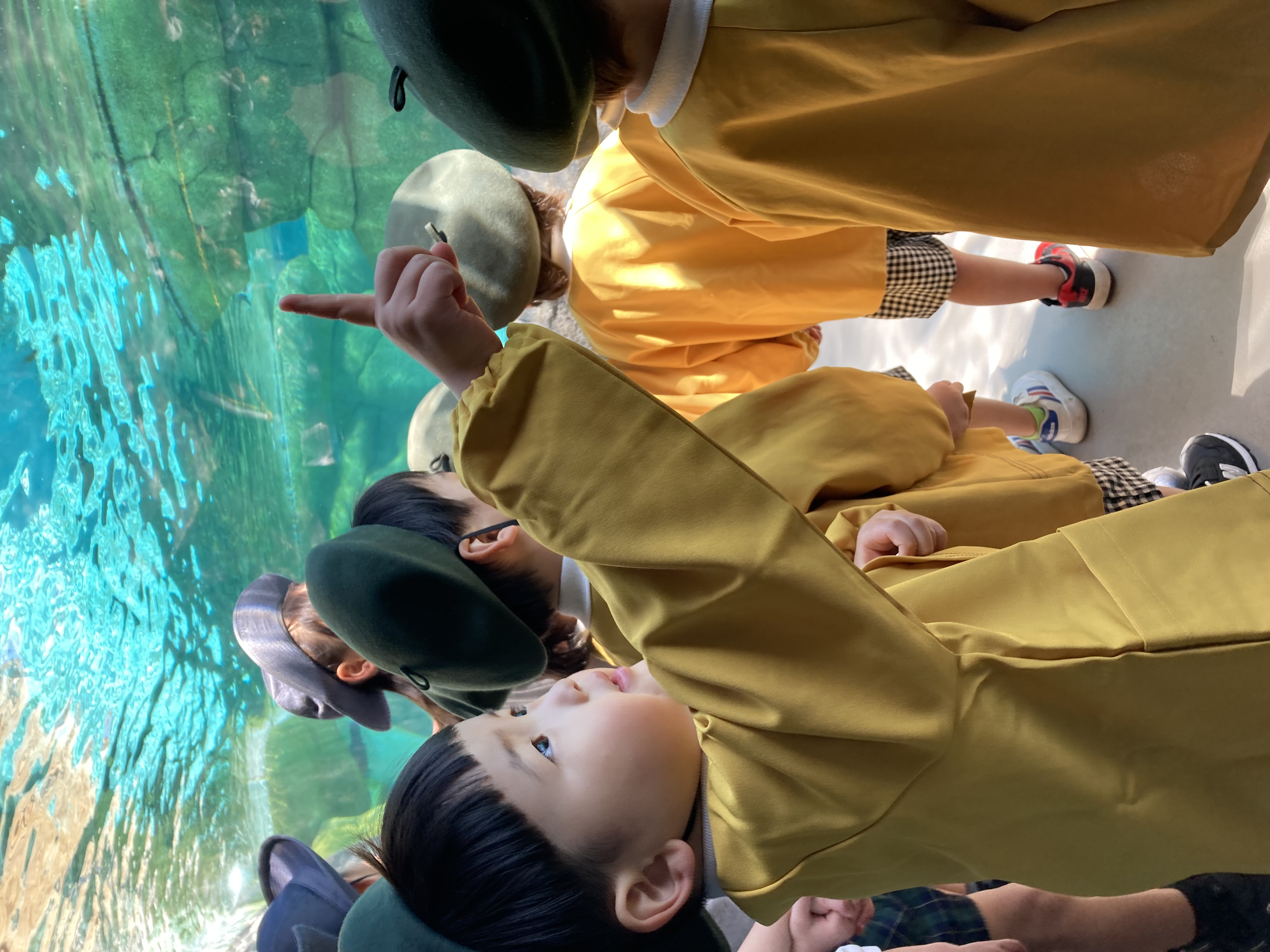 IMG_1271.jpeg (1.80 MB)