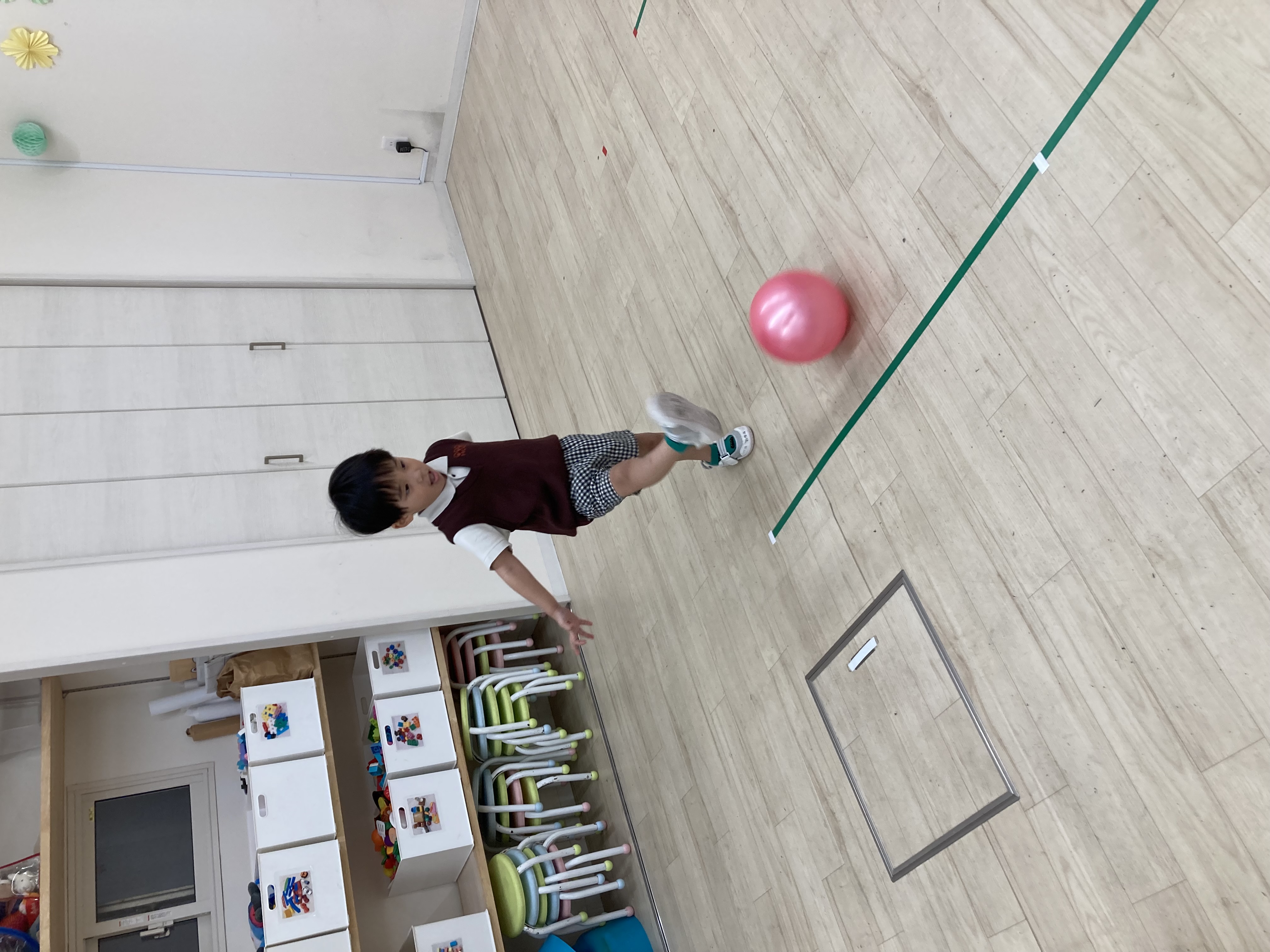 IMG_1782.jpeg (1.90 MB)