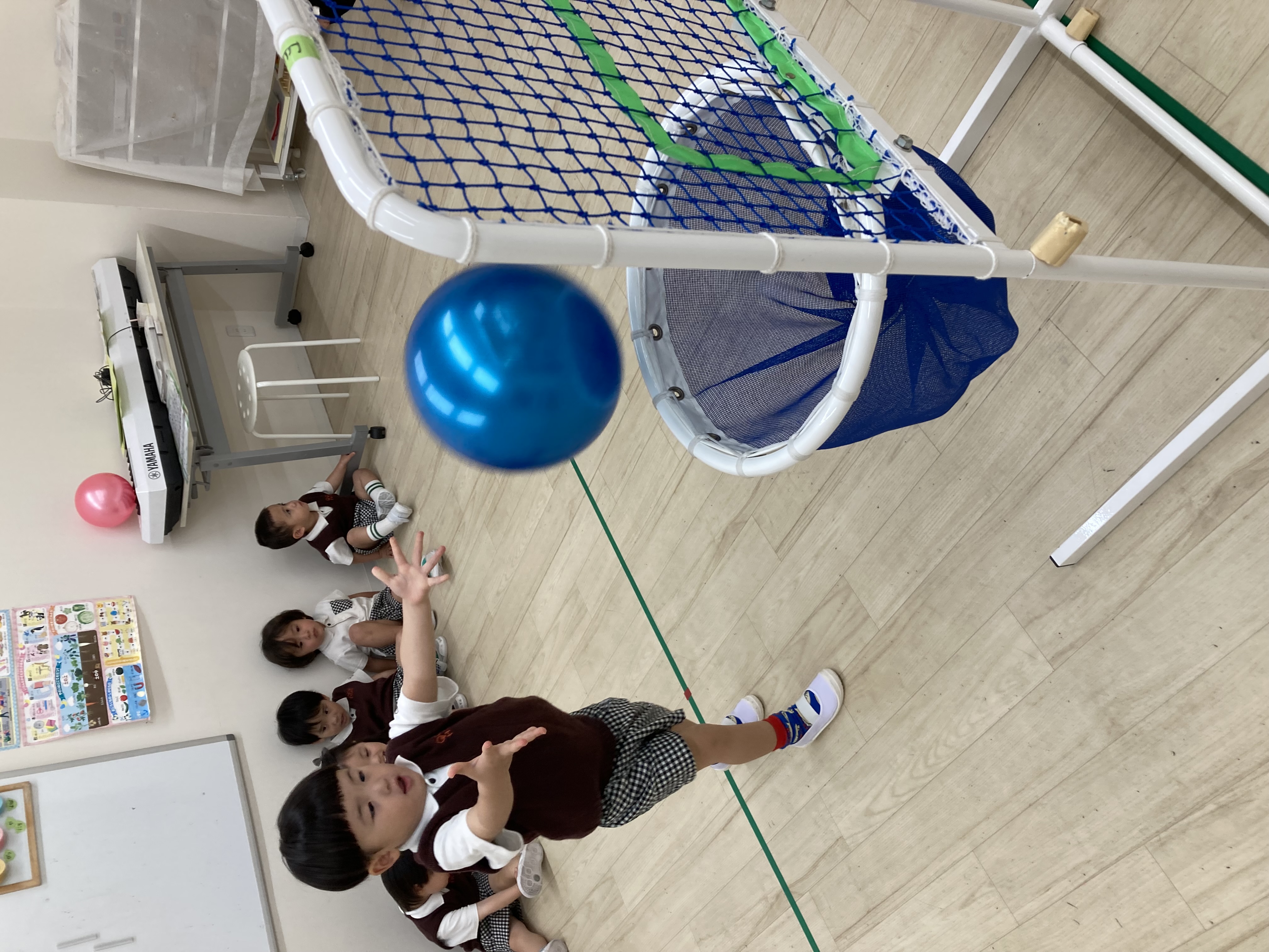 IMG_1808.jpeg (2.26 MB)