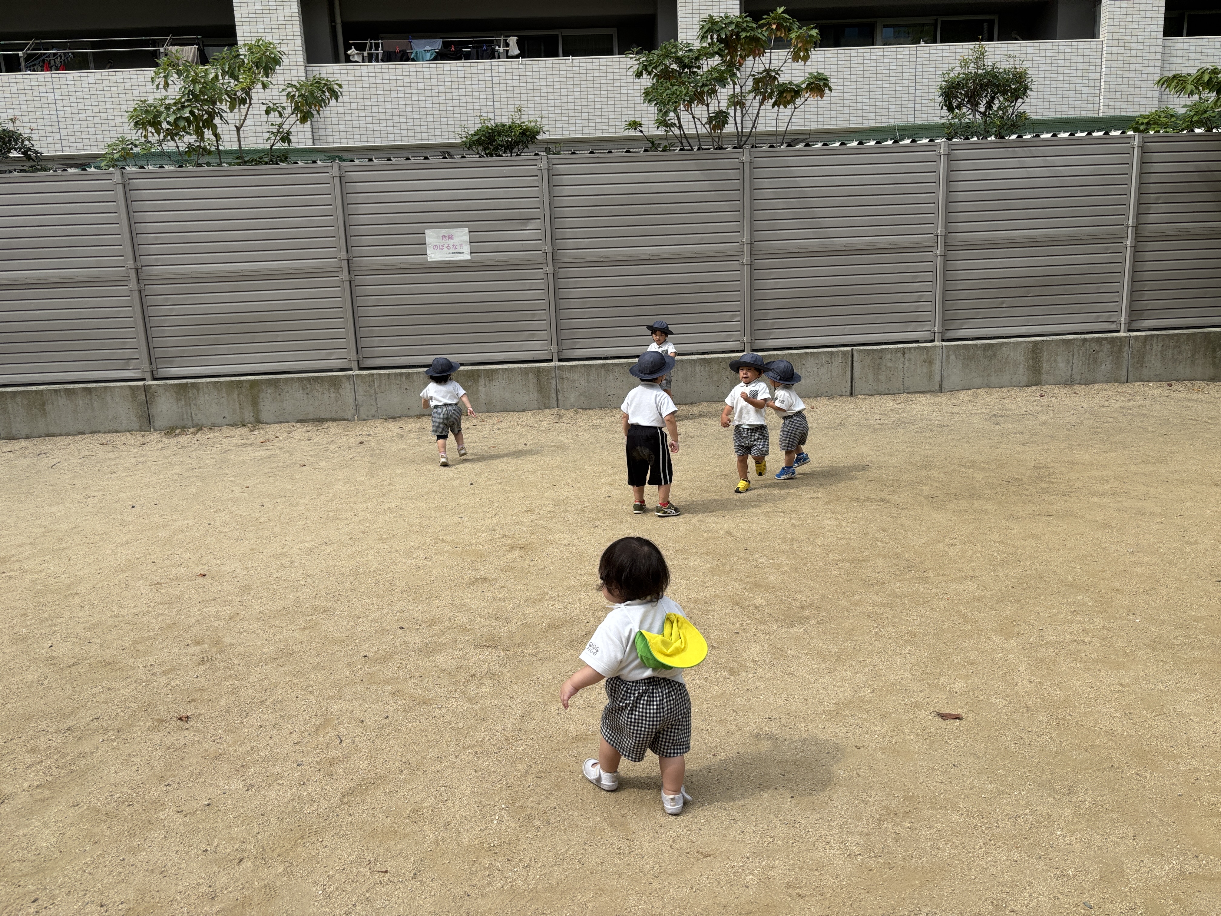 IMG_2886.jpeg (5.29 MB)