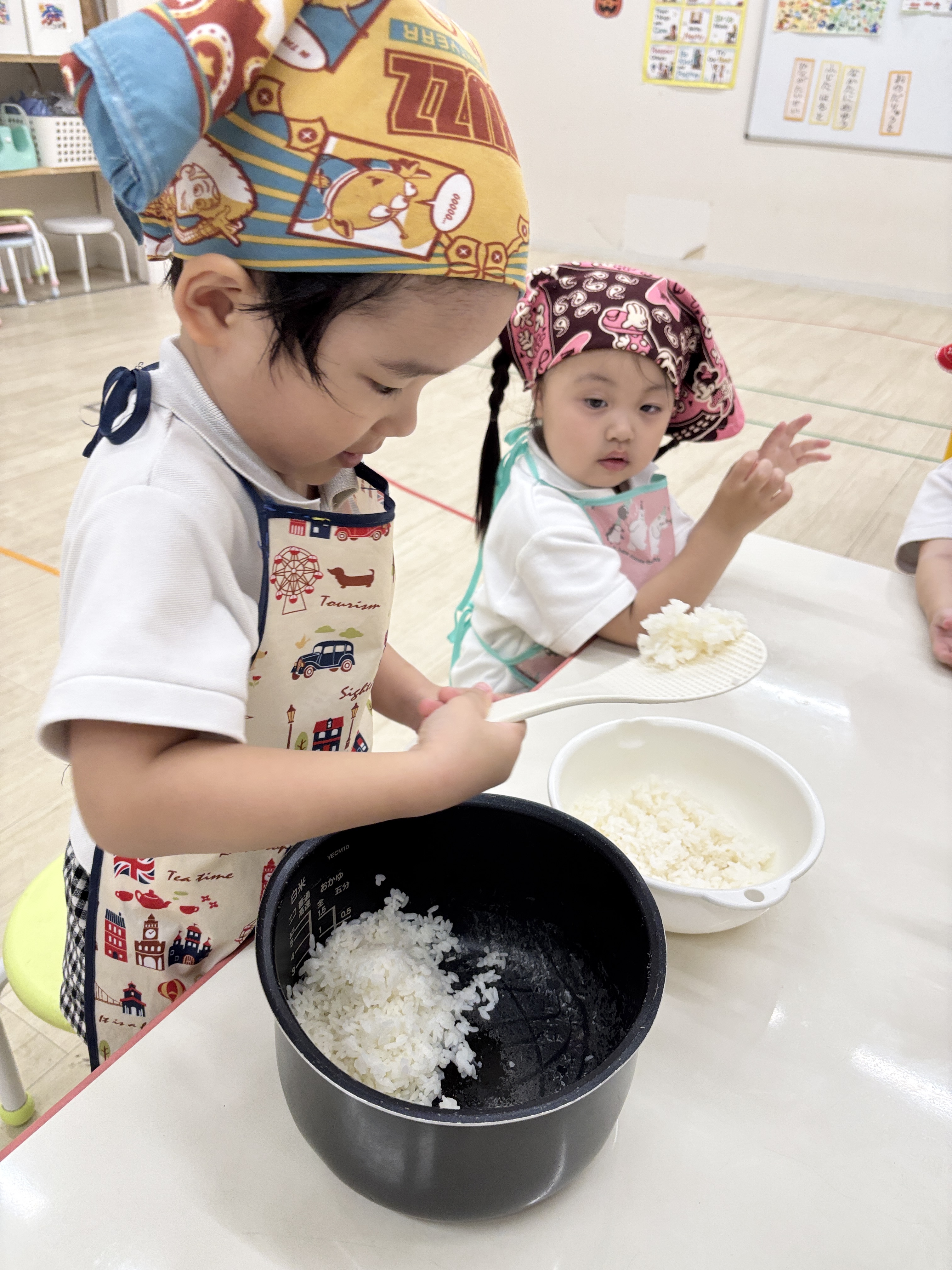 IMG_2972.jpeg (3.21 MB)