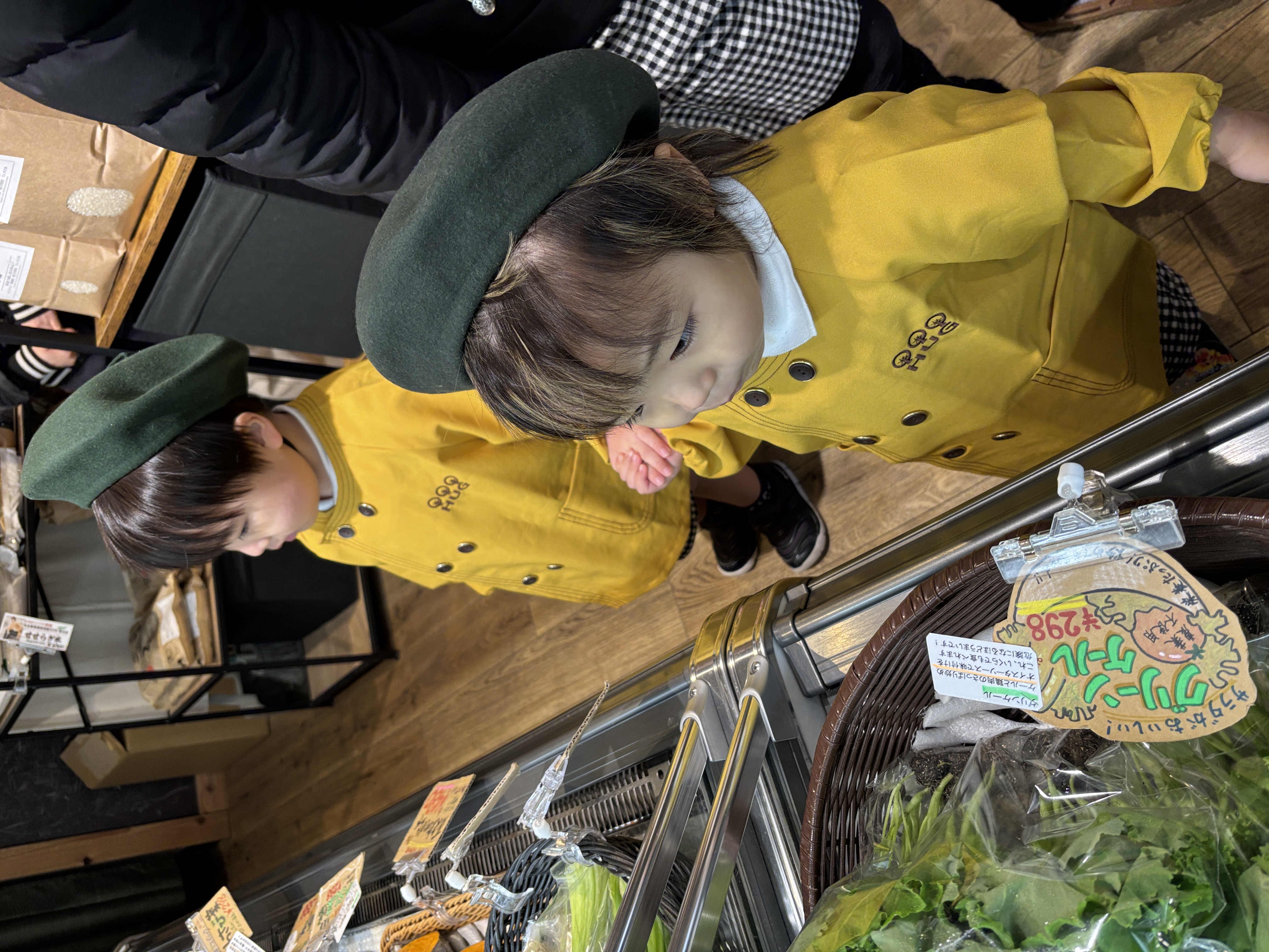 IMG_6031.jpeg (3.68 MB)