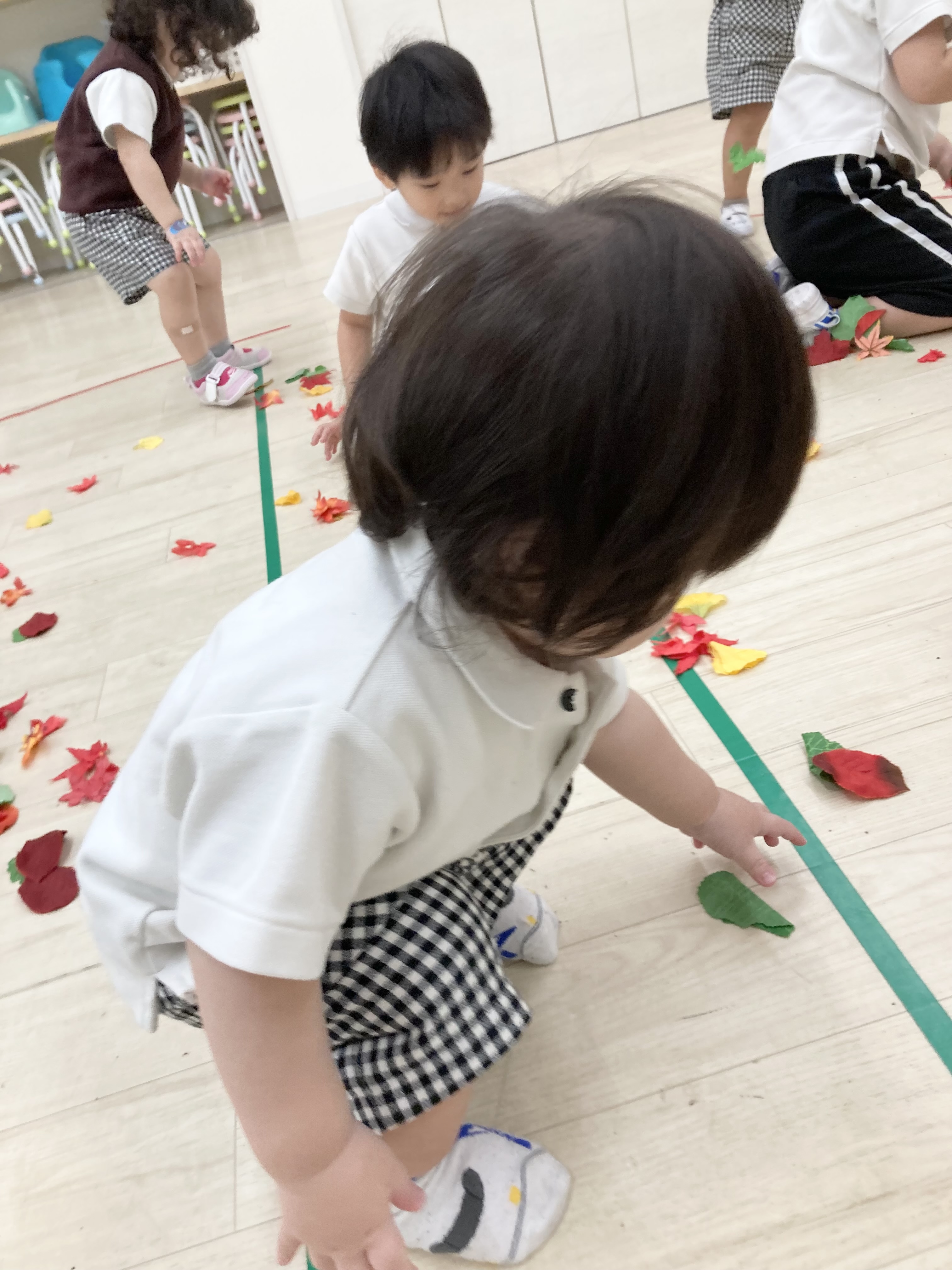 IMG_6398.jpeg (1.74 MB)