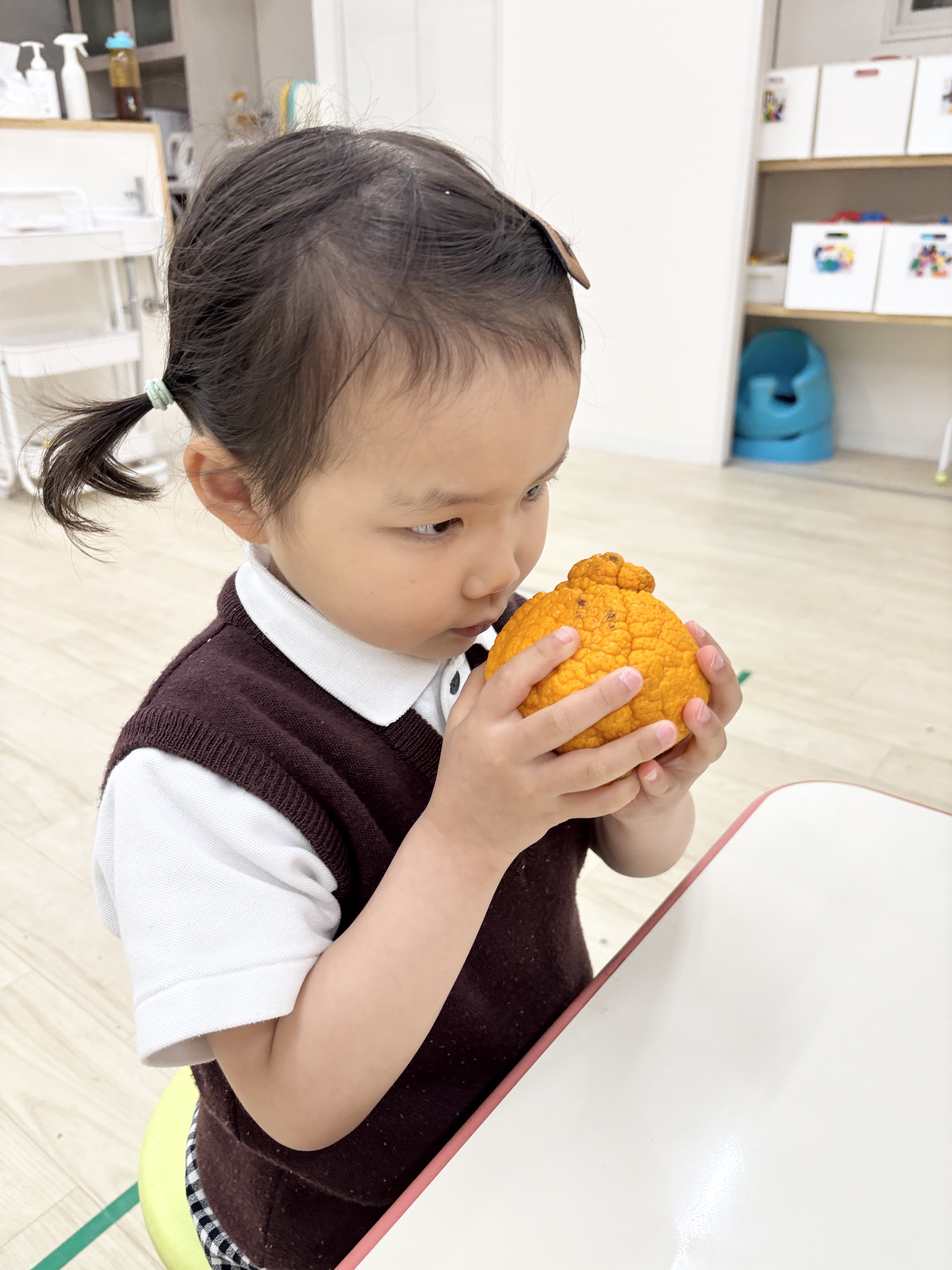 IMG_7969.jpeg (2.78 MB)