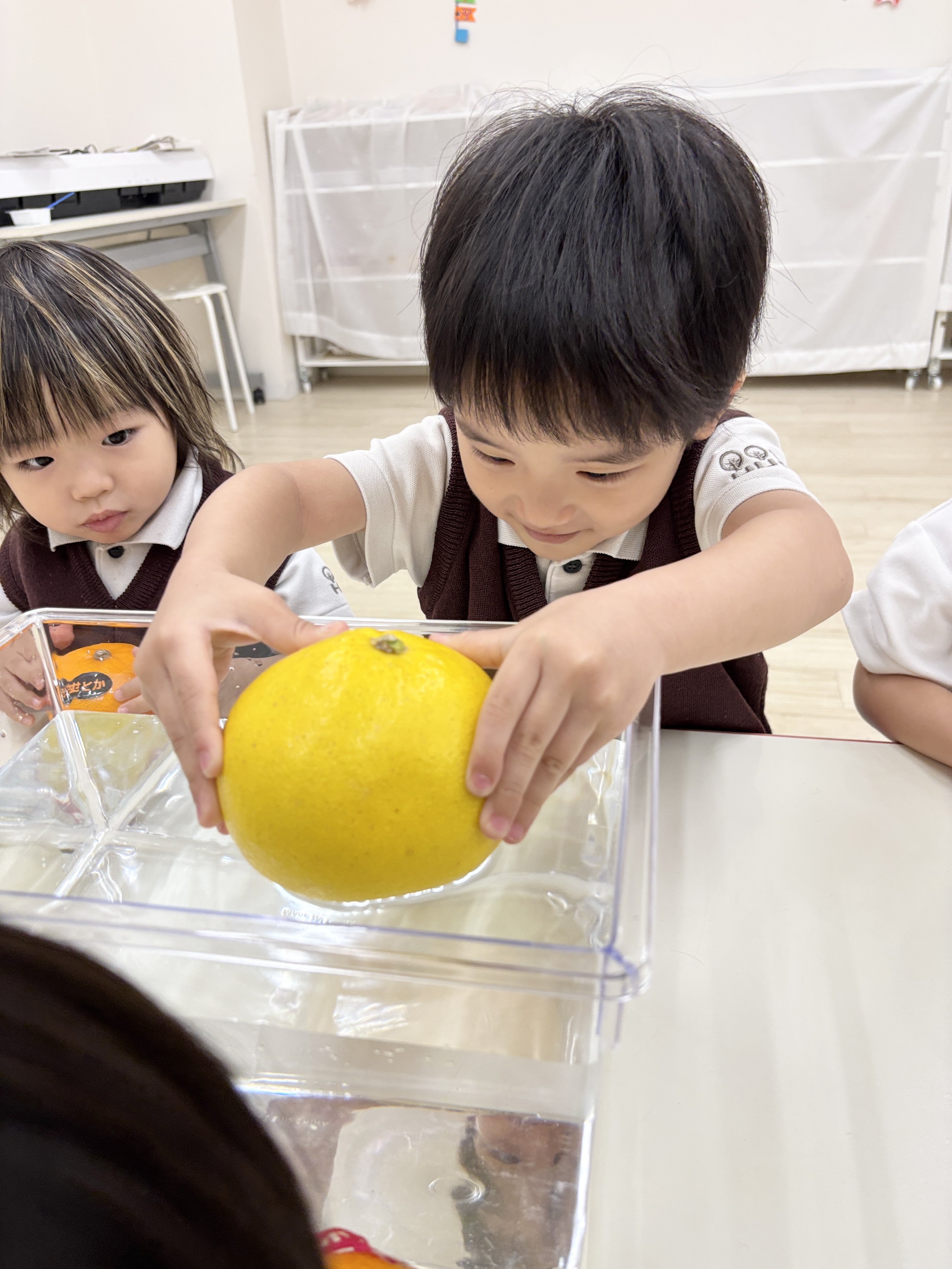 IMG_7979.jpeg (2.90 MB)