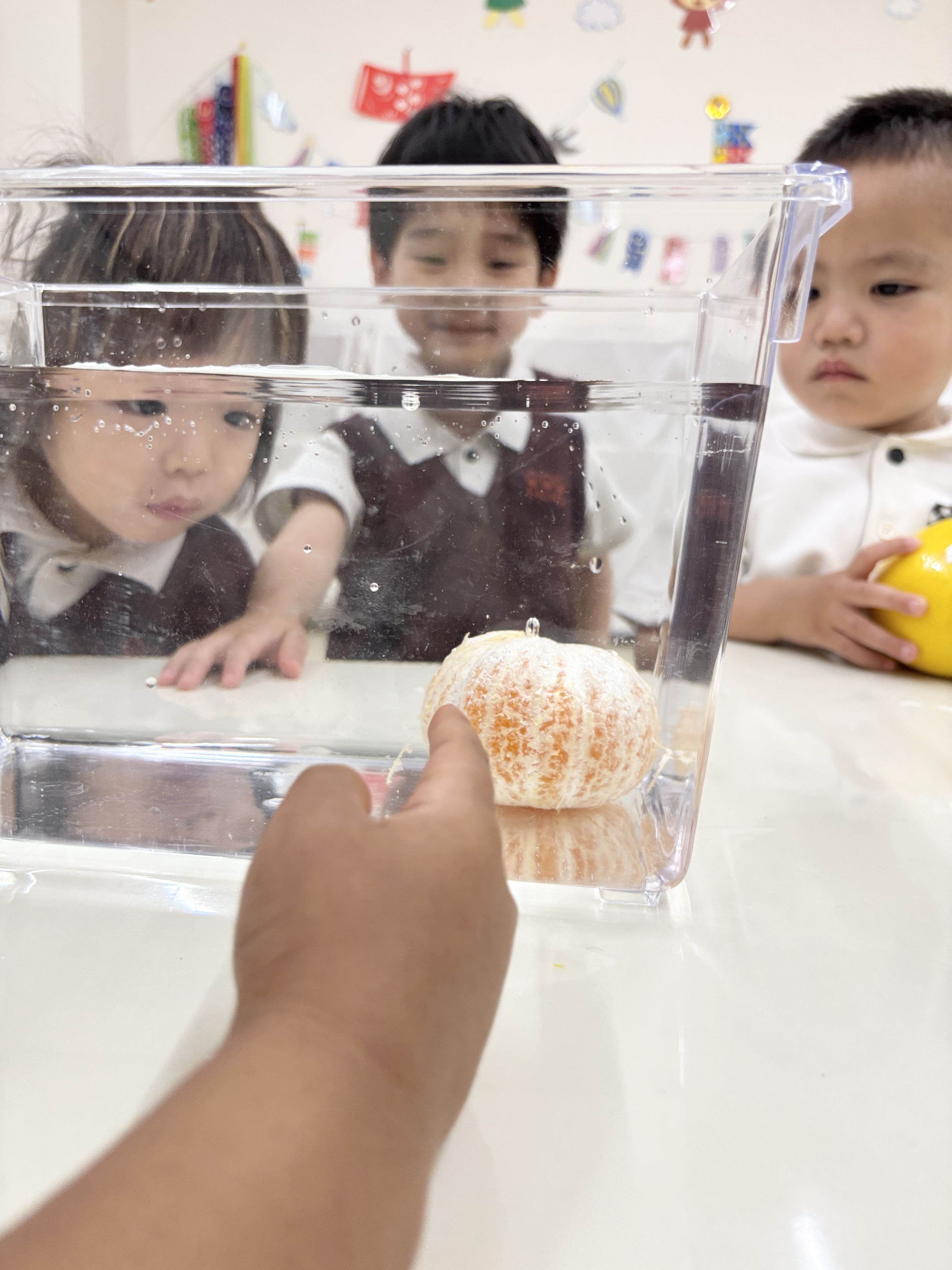 IMG_7991.jpeg (2.48 MB)