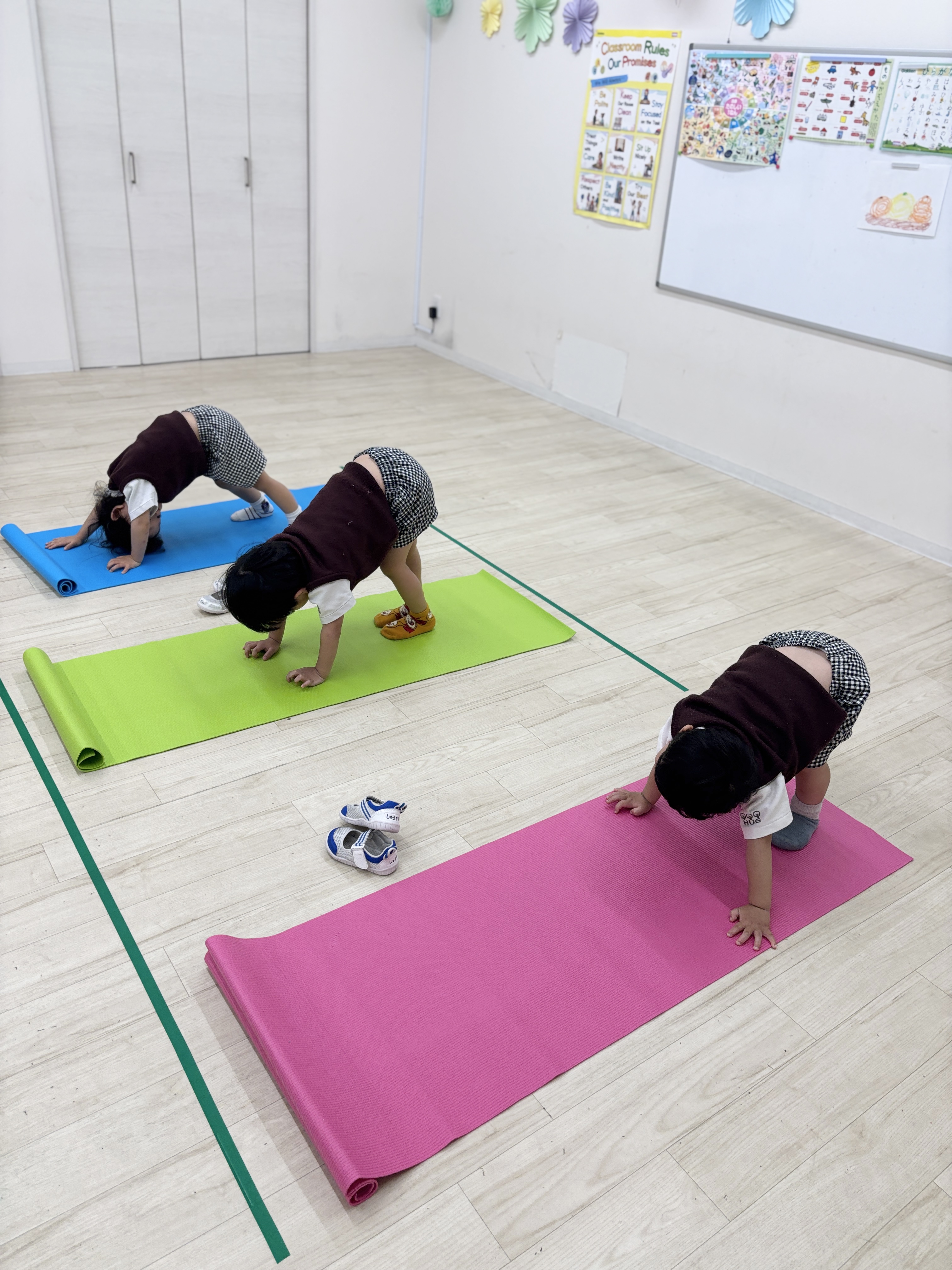 IMG_8070.jpeg (2.92 MB)