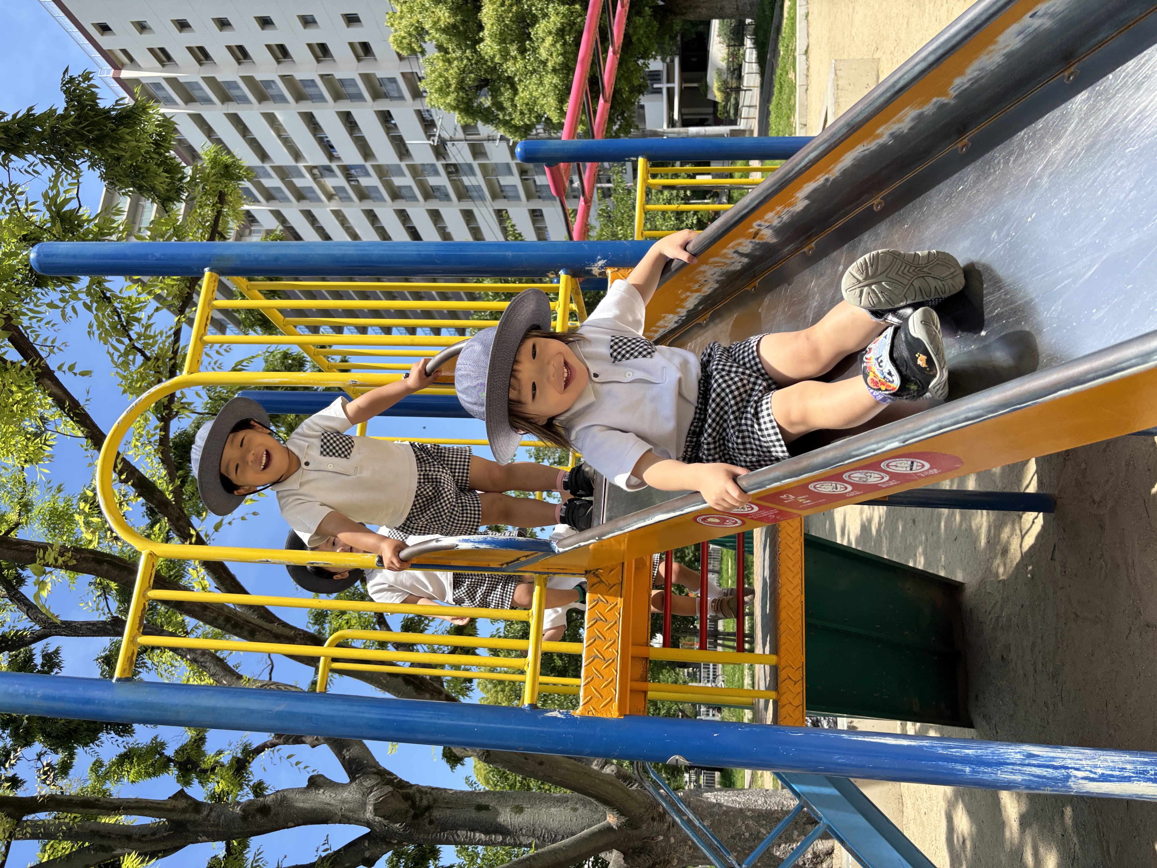 IMG_8448.jpeg (4.08 MB)