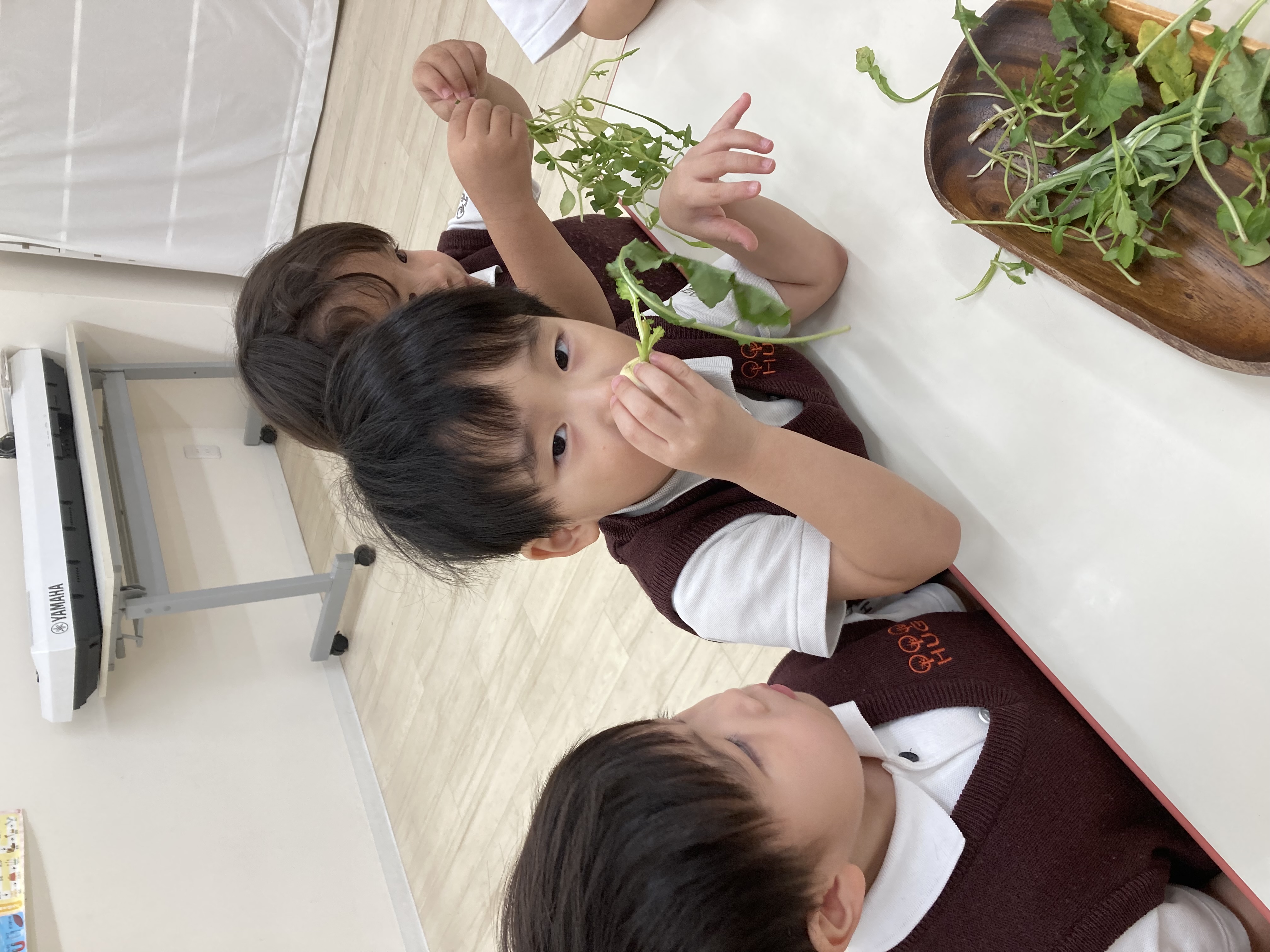 IMG_8920.jpeg (1.82 MB)