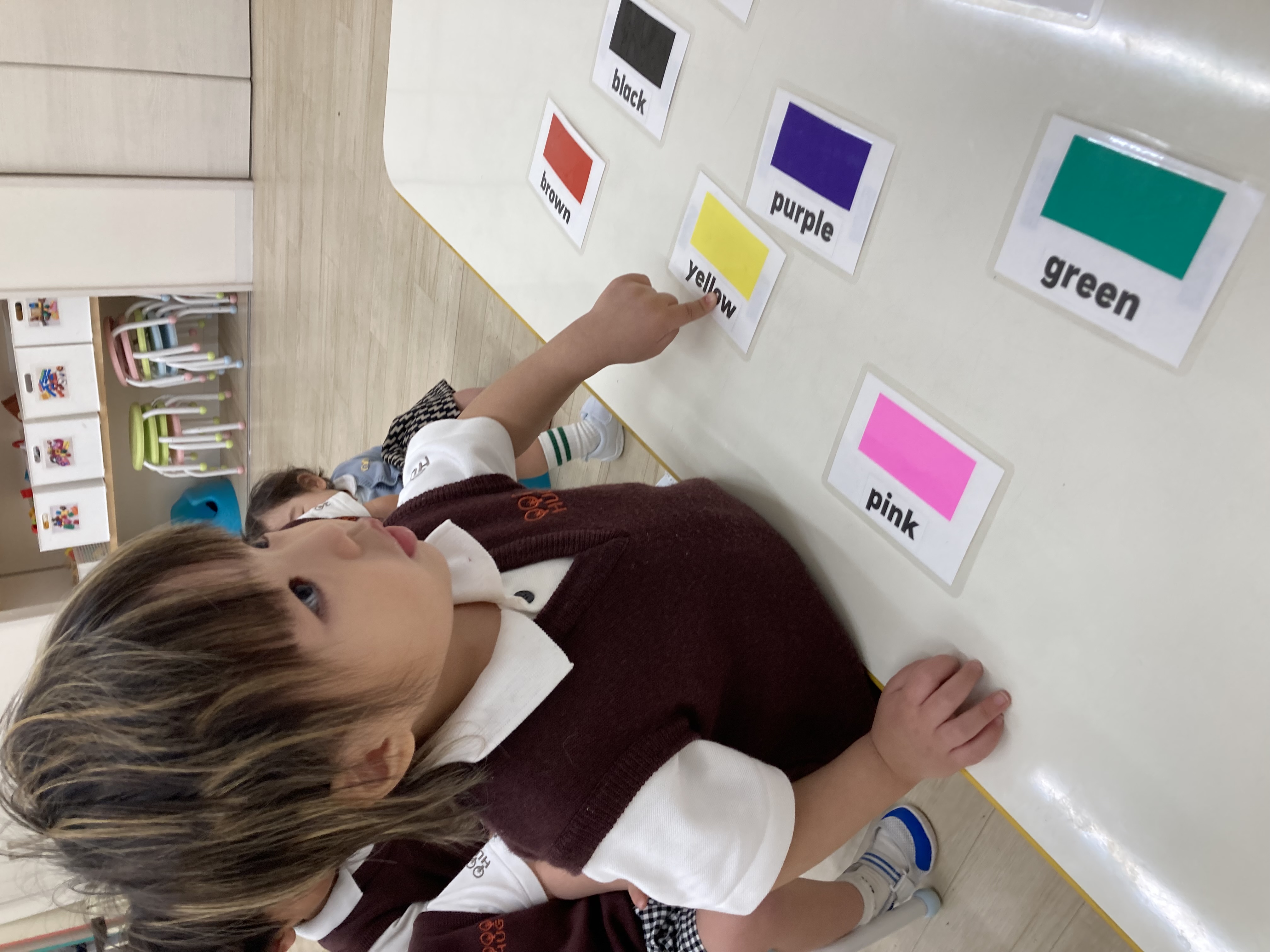 IMG_9951.jpeg (1.45 MB)